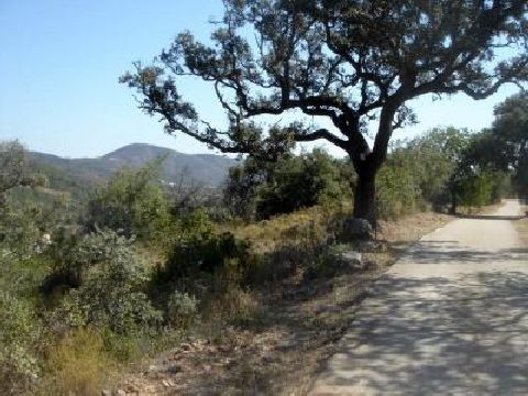 Via Algarviana | Wandelroute Salir - Alte | Aarts Wandelreizen