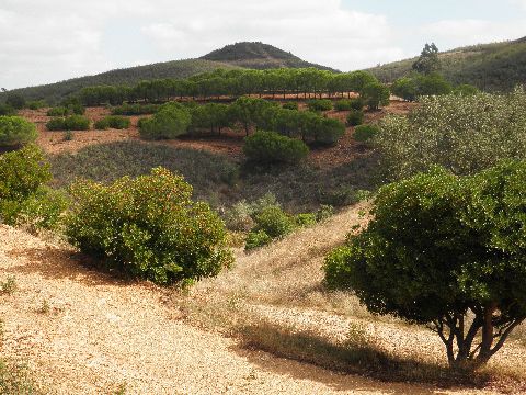 Wandelroute Via Algarviana dwars door de Algarve | Aarts Wandelreizen