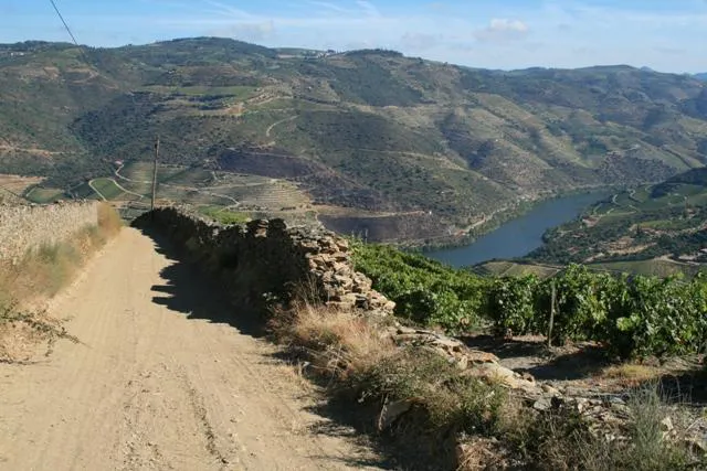 Individuele Pelgrimstocht naar Santiago de Compostela in Spanje