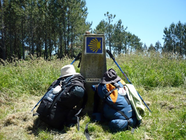 camino-santiago-santiago11