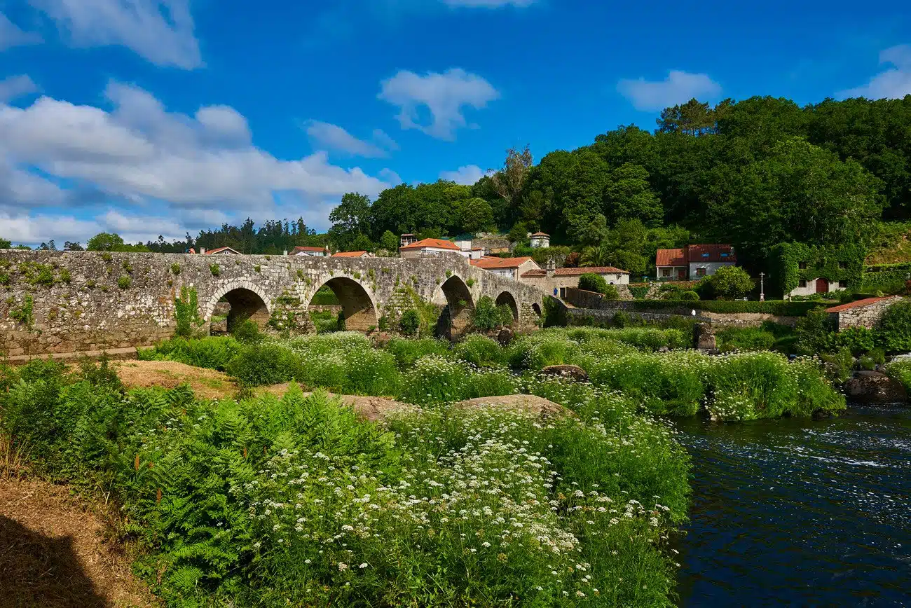 Ponte maceira