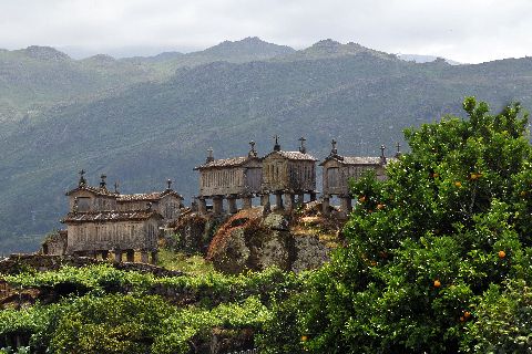 Fotogallerij | Noord Portugal | Aarts wandelreizen